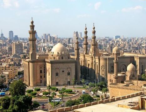 Egipto: posibilidades de inversión en el sector del olivar | OLIVE NEWS | Scoop.it