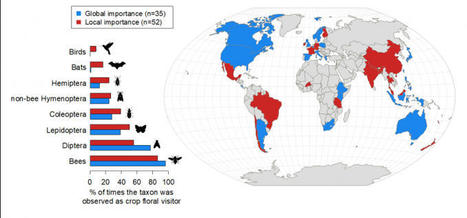 Des pollinisateurs clés pour l’agriculture, mais très largement négligés | Biodiversité | Scoop.it