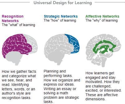 CAST: Universal Design for Learning – juandon. Innovación y conocimiento