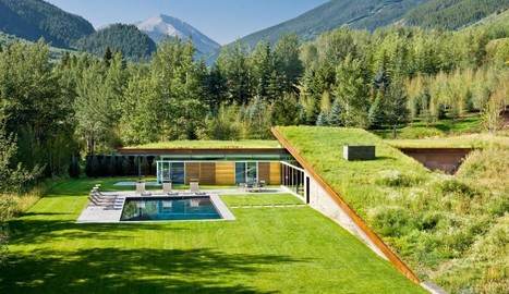 [inspiration] Magnifique maison contemporaine semi-enterrée avec son toit végétalisé (USA) | Build Green, pour un habitat écologique | Scoop.it