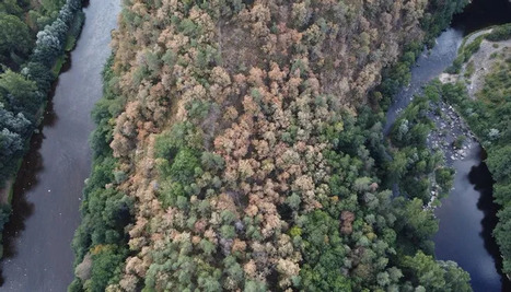 Malgré les averses des derniers jours, la sécheresse continue de faire des dégâts en Haute-Loire | Les Colocs du jardin | Scoop.it