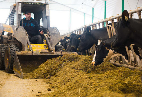 Canada : 1,5 G$ de quotas de lait émis en deux ans | Lait de Normandie... et d'ailleurs | Scoop.it
