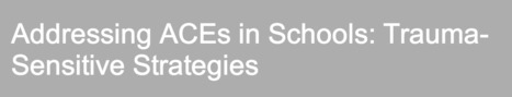 Webinar 1/22 (10:30am-Noon): Addressing Adverse Childhood Experiences in Schools: Trauma-Sensitive Strategies | Community Connections: Events and Resources To Support Youth Development | Scoop.it