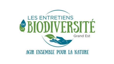 Les entretiens de la biodiversité au Parc de Sainte-Croix / France Bleu | Veille locale des Bibliothèques-Médiathèques de Metz | Scoop.it