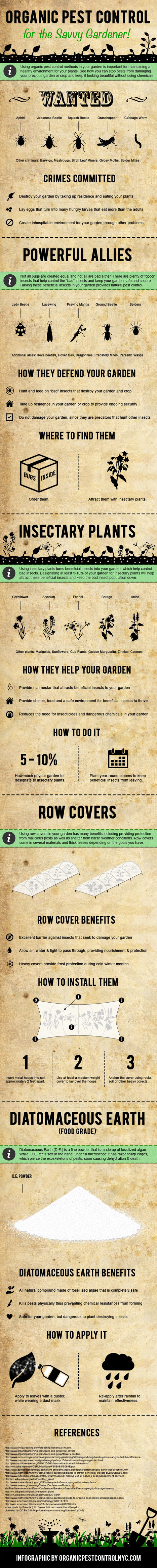 DIY Garden Pest Control [Infographic] | Gardening Life | Scoop.it