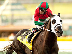 Full Field Looms for $1M Charles Town Classic | BloodHorse.com | Racing News | Scoop.it