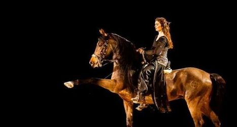 «Les hommes et leurs chevaux créent un tableau tous ensemble» | Salon du Cheval | Scoop.it