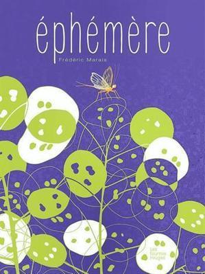Éphémère (dès 4 ans) | Variétés entomologiques | Scoop.it