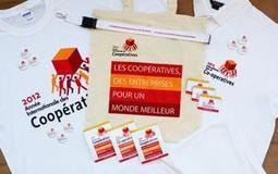 2012, Année internationale des coopératives | 21st Century Learning and Teaching | Scoop.it