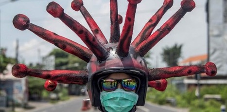 Apprivoiser les cygnes noirs : enseignements de la crise du coronavirus | Covid-19 : analyses et prospective | Scoop.it