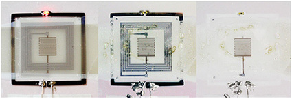 La obsolescencia programada se acaba de quedar... obsoleta | LabTIC - Tecnolog&iacute;a y Educaci&oacute;n | Scoop.it