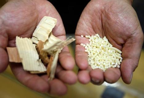 Tougher than steel: Japan looks to wood pulp to make lighter auto parts | Timberland Investment | Scoop.it