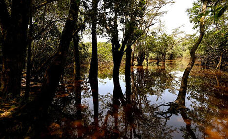 ECUADOR: Constitution protects nature. Now that's at risk | AMÉRIQUES | Scoop.it