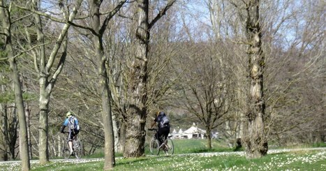 La CC Miribel Plateau s’engage à aider les entreprises de son territoire (article partiel, pour abonnés) | L'Architecture, l'Urbanisme, l'Environnement, le Paysage et le Patrimoine... vus par le CAUE de l'Ain. | Scoop.it