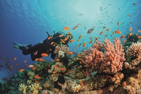 Drug discovery returns to the wild | Natural Products Chemistry Breaking News | Scoop.it