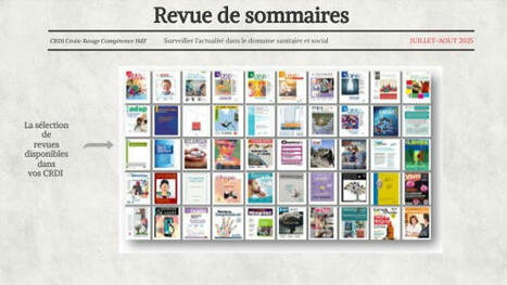 Revue de sommaires Juillet-Aout 2025 | Actualité sanitaire et sociale - CRDI Croix-Rouge Compétence                               Hauts-de-France | Scoop.it