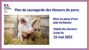 Crise porcine : l'Etat met en place une nouvelle aide à destination des éleveurs | Actualité Bétail | Scoop.it
