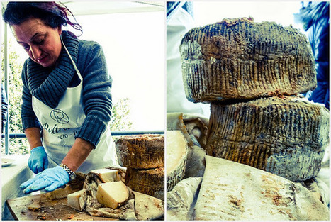Unearthing A Culinary Rarity: Cheese from a Pit with Vittorio Beltrami, Le Marche | Good Things From Italy - Le Cose Buone d'Italia | Scoop.it