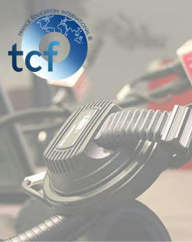 TCF - Session de juin 2021 | FLEursdeFLE | Scoop.it