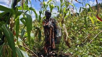 Des paysans expulsés pour des crédits carbone République du Congo | Questions de développement ... | Scoop.it
