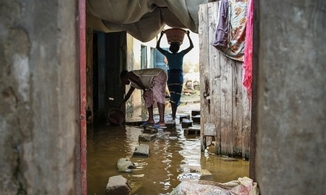 'We want to turn poo into gold': how SMS is transforming Senegal's sanitation | Peer2Politics | Scoop.it