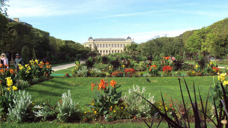 Biodiversit&eacute;, un nouveau dossier enseignant du MNHN - Le Caf&eacute; p&eacute;dagogique | Biodiversit&eacute; | Scoop.it