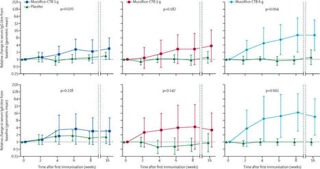 Oral MucoRice-CTB vaccine for safety and microbiota-dependent immunogenicity in humans: a phase 1 randomised trial | Plant Molecular Farming | Scoop.it