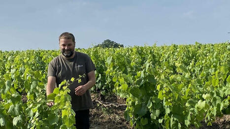 À 35 ans, il reprend les vignes familiales, près de Nantes, et les convertit en bio : «Je suis fier» - Ouest France [Abonnés] | Agriculture en Pays de la Loire | Scoop.it