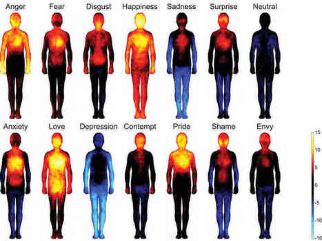 Mapping Emotions On The Body: Love Makes Us Warm All Over | NPR | Fitness, Health, and Wellness | Scoop.it