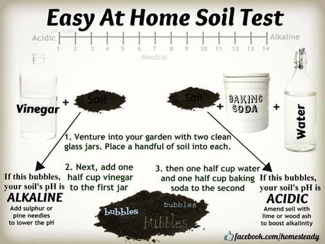 soil test | Eco-Friendly Lifestyle | Scoop.it