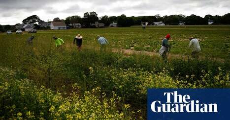 Trump administration yanks $15m in research into Pfas on US farms: ‘not just stupid, it’s evil’ | Trump administration | The Guardian | Operation Deimos | Scoop.it