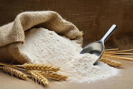 ITALIAN soft wheat flour exports rising | World Grain | MED-Amin network | Scoop.it