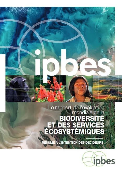 Le rapport de l’évaluation mondiale de la Biodiversité et des Services écosystémiques - Résumé à l'intention des décideurs | Insect Archive | Scoop.it