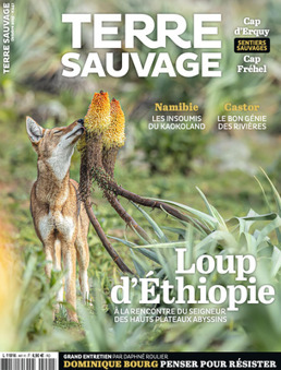 Terre Sauvage N°441 - Octobre 2025 | Biodiversité | Scoop.it
