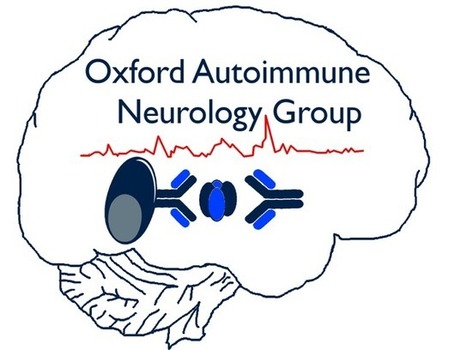 Autoimmune Neurology Group — Nuffield Department of Clinical Neurosciences | AntiNMDA | Scoop.it