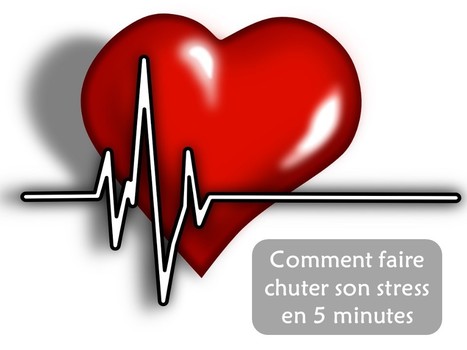 Cohérence cardiaque | Pierre Antoine | Methode DISC et communication | Scoop.it