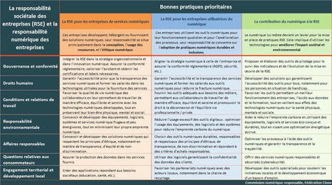 La responsabilité sociétale des entreprises (RSE) et la responsabilité numérique des entreprises | Fédération Cinov | Actualités Achats Responsables | Scoop.it
