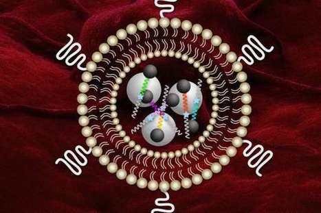Nanosensors could help determine tumors' ability to remodel tissue | Amazing Science | Scoop.it