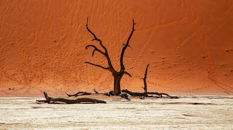 Ce rapport du « Lancet » quantifie pour la première fois les morts liées au changement climatique | Toxique, soyons vigilant ! | Scoop.it