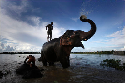 Pictures of the Day: Florida and Elsewhere | Best of Photojournalism | Scoop.it