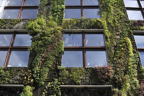 Intégrer la nature en ville pour une architecture du quotidien plus vivante | Veille juridique du CDG13 | Scoop.it