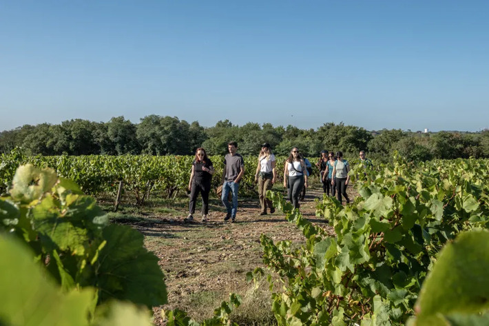 "On est sur quelque chose de plus humain." Dans le vignoble nantais, l&rsquo;&oelig;notourisme poursuit son essor | Th&eacute;matique Gastronomie et Oeno | Scoop.it