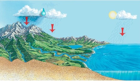 Observe a raindrop travelling through various paths of the water cycle. | GTAV AC:G Y7 - Water in the world | Scoop.it