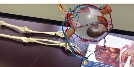 iOS 11 : une application m&eacute;dicale AR pour analyser le corps humain&nbsp; | UseNum - Sant&eacute; | Scoop.it