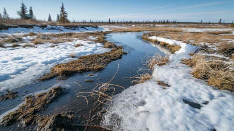 Personne ne l’avait vu venir : la fonte du permafrost déclenche une réaction en chaîne imprévue ! | Toxique, soyons vigilant ! | Scoop.it