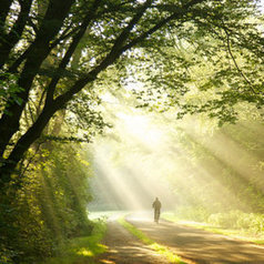 shower of light org by Lars van de Goor: preciosa foto | I didn't know it was impossible.. and I did it :-) - No sabia que era imposible.. y lo hice :-) | Scoop.it