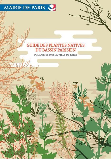 À télécharger : Guide des plantes natives du Bassin parisien produites par la Ville de Paris | Insect Archive | Scoop.it