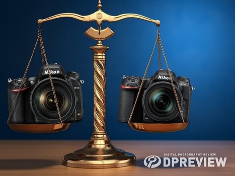 Nikon D500 versus D750: Which one is right for you? | Photography Gear News | Scoop.it