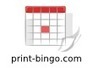 Print-Bingo.com - The world's best web based bingo card generator | iGeneration - 21st Century Education (Pedagogy & Digital Innovation) | Scoop.it