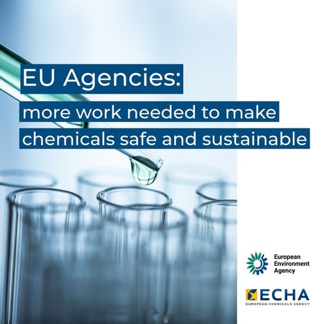 Agences européennes : il faut redoubler d’efforts pour rendre les produits chimiques sûrs et durables | ECHA | Prévention du risque chimique | Scoop.it